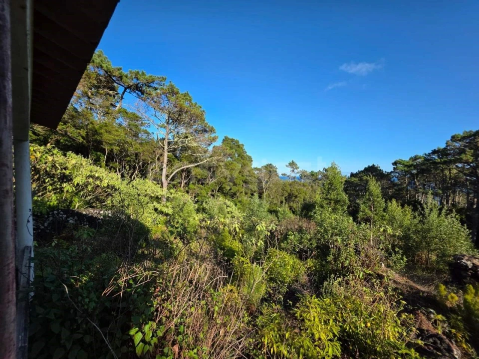 Terreno para Venda em Lajes do Pico Foto 21