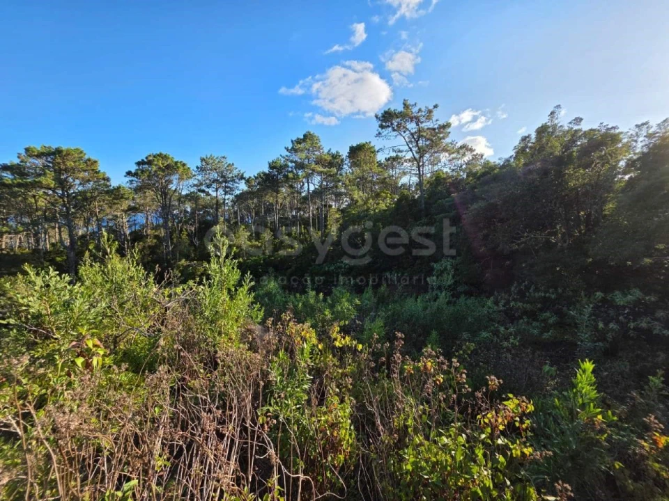 Terreno para Venda em Lajes do Pico Foto 25