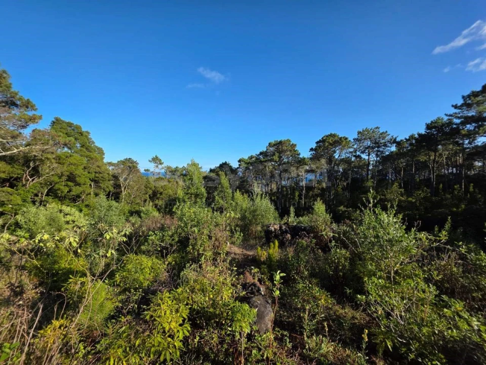 Terreno para Venda em Lajes do Pico Foto 29