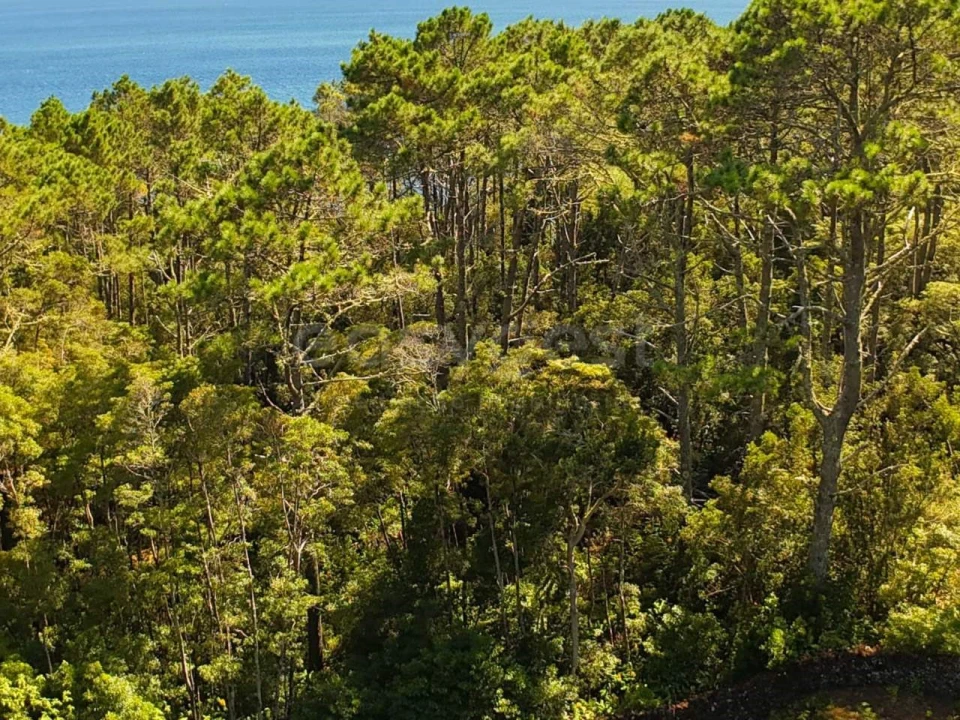 Moradia para Venda em Lajes do Pico Foto 8