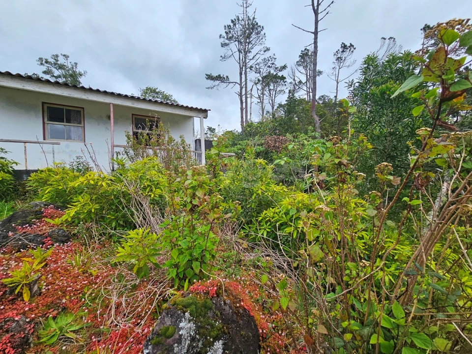 Moradia para Venda em Lajes do Pico Foto 1