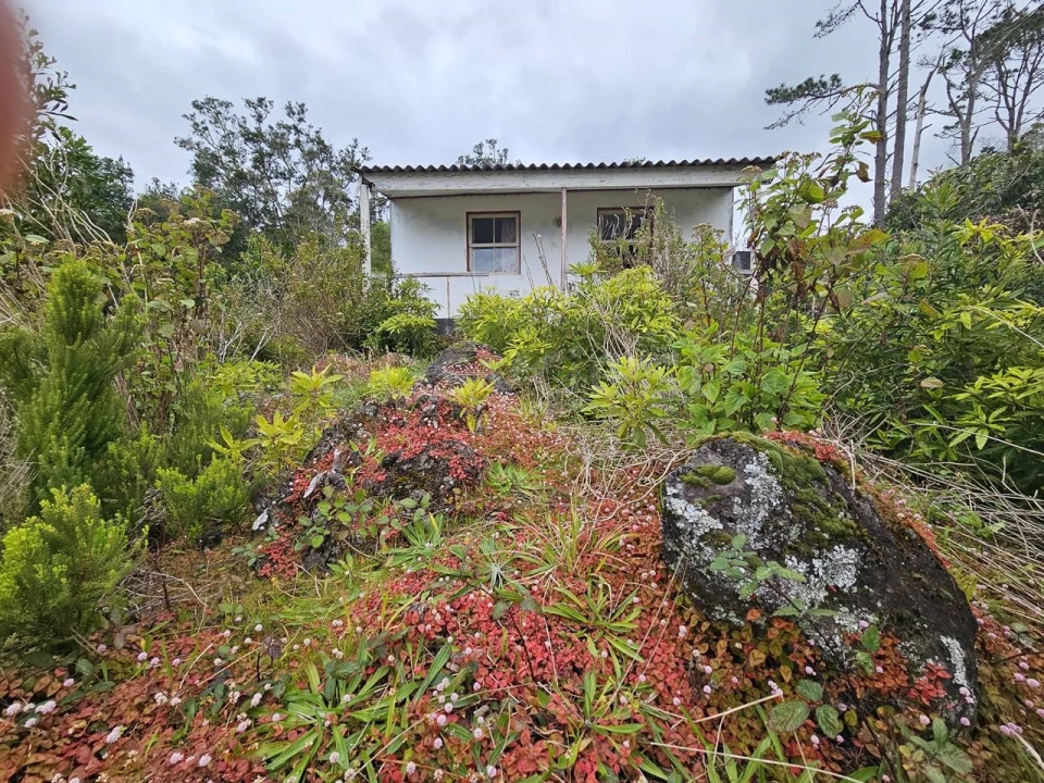 Moradia para Venda em Lajes do Pico Foto 4