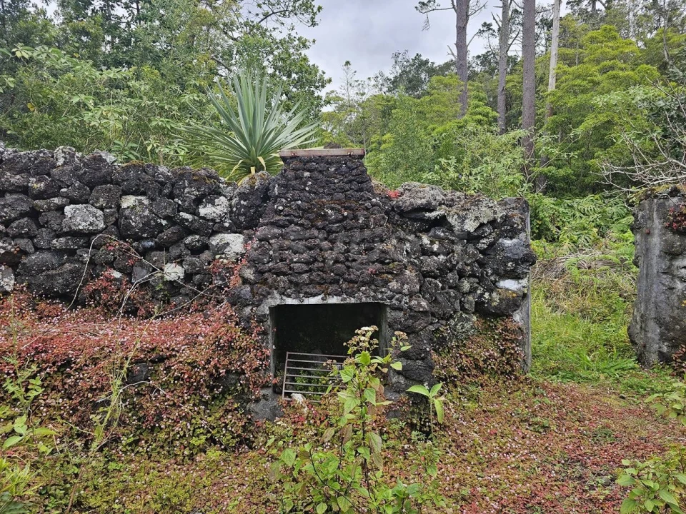 Moradia para Venda em Lajes do Pico Foto 7