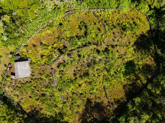 Terreno para Venda em Lajes do Pico Foto 5