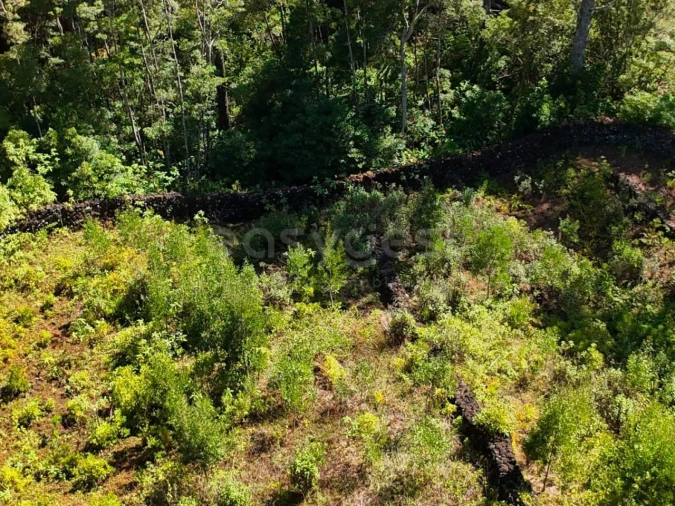 Terreno para Venda em Lajes do Pico Foto 12