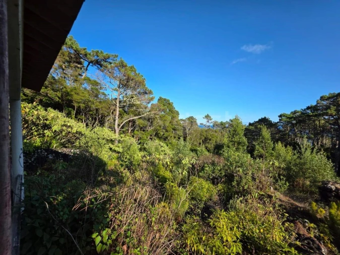 Terreno para Venda em Lajes do Pico Foto 21
