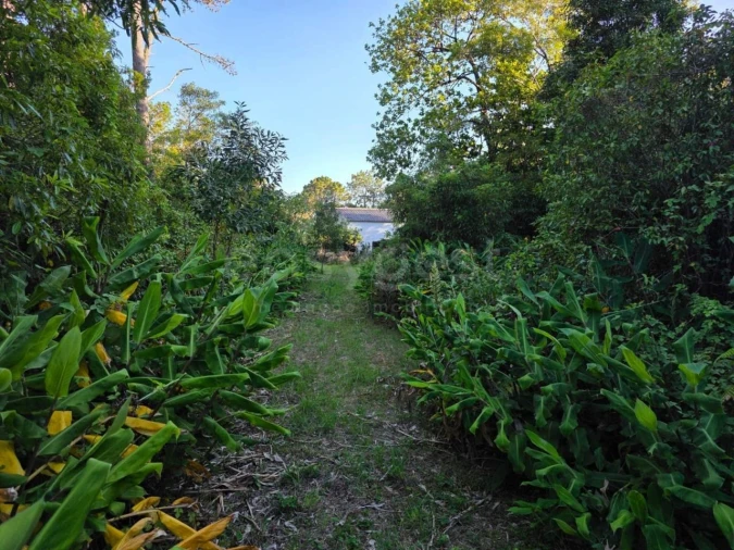 Moradia para Venda em Lajes do Pico Foto 12