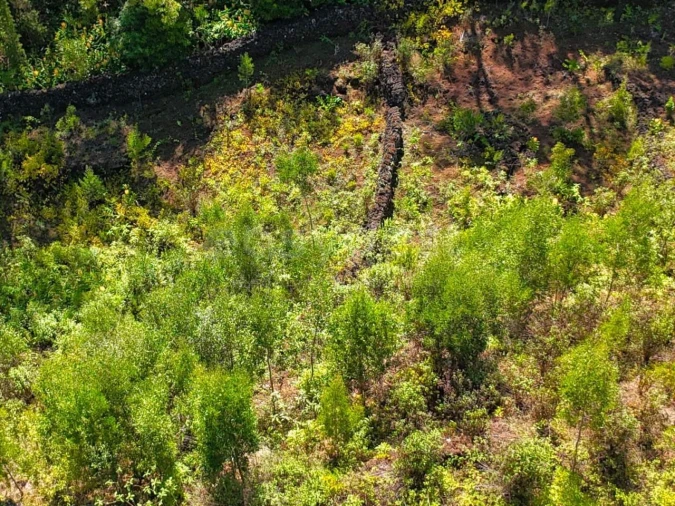 Moradia para Venda em Lajes do Pico Foto 16