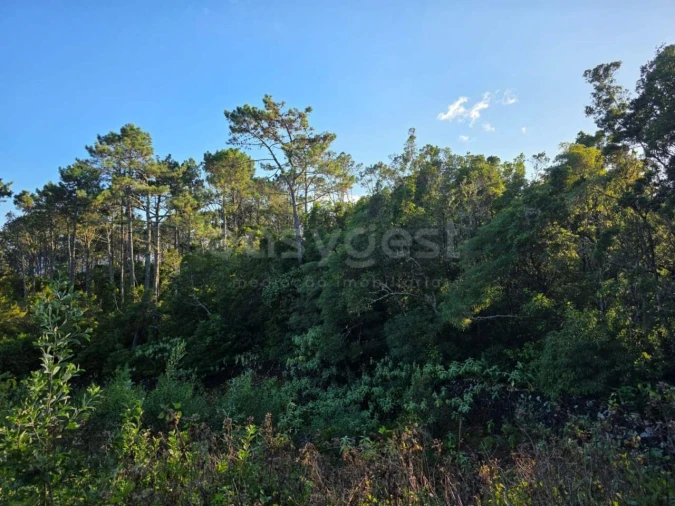 Moradia para Venda em Lajes do Pico Foto 22
