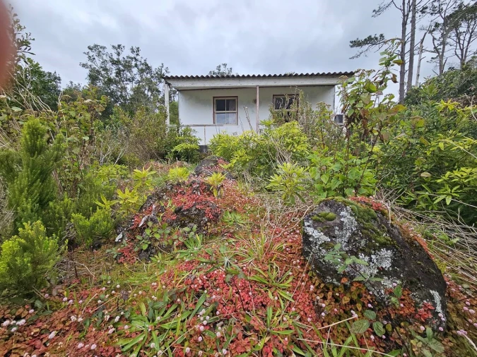 Moradia para Venda em Lajes do Pico Foto 4