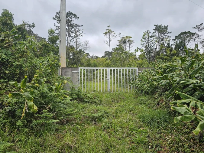 Moradia para Venda em Lajes do Pico Foto 13