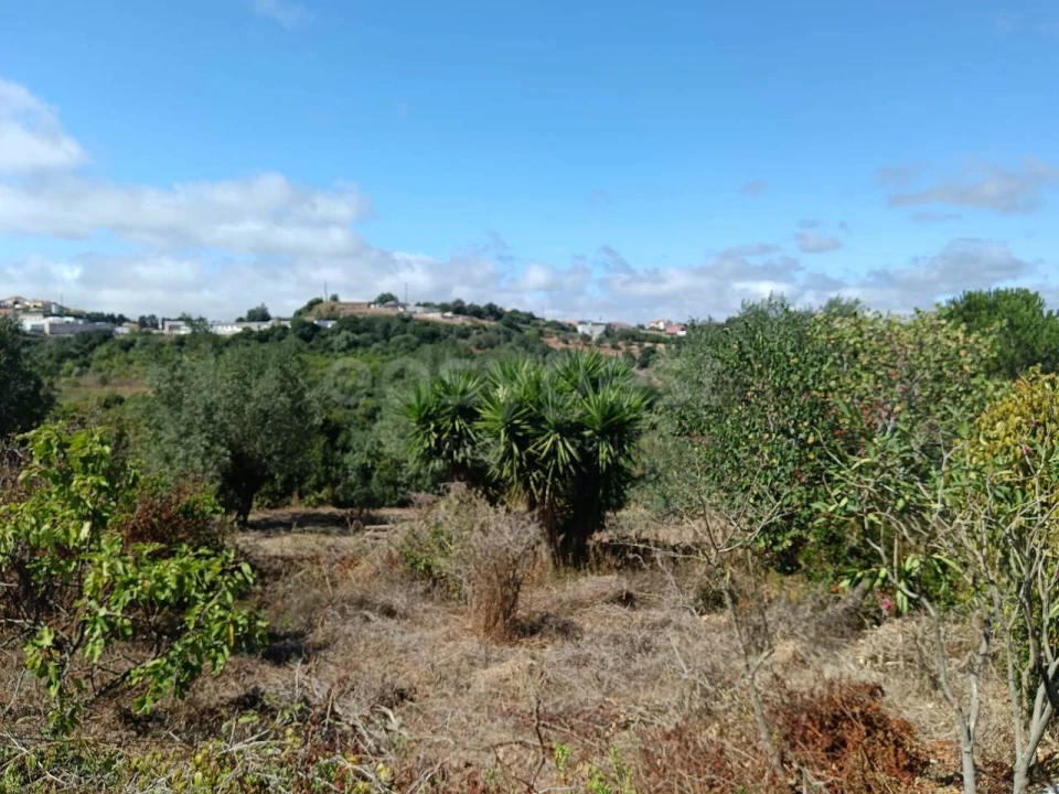Terreno para Venda em Evora de Alcobaça Foto 2