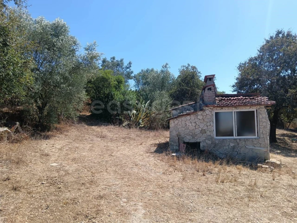 Terreno para Venda em Evora de Alcobaça Foto 8