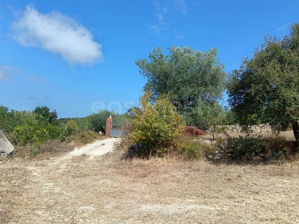 Terreno para Venda em Evora de Alcobaça Foto 12