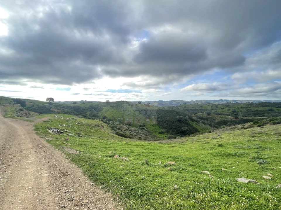 Terreno Agricola ou Rústico para Venda em Castro Marim Foto 3
