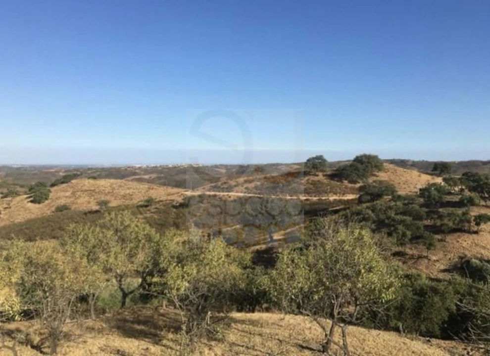 Terreno Agricola ou Rústico para Venda em Castro Marim Foto 2