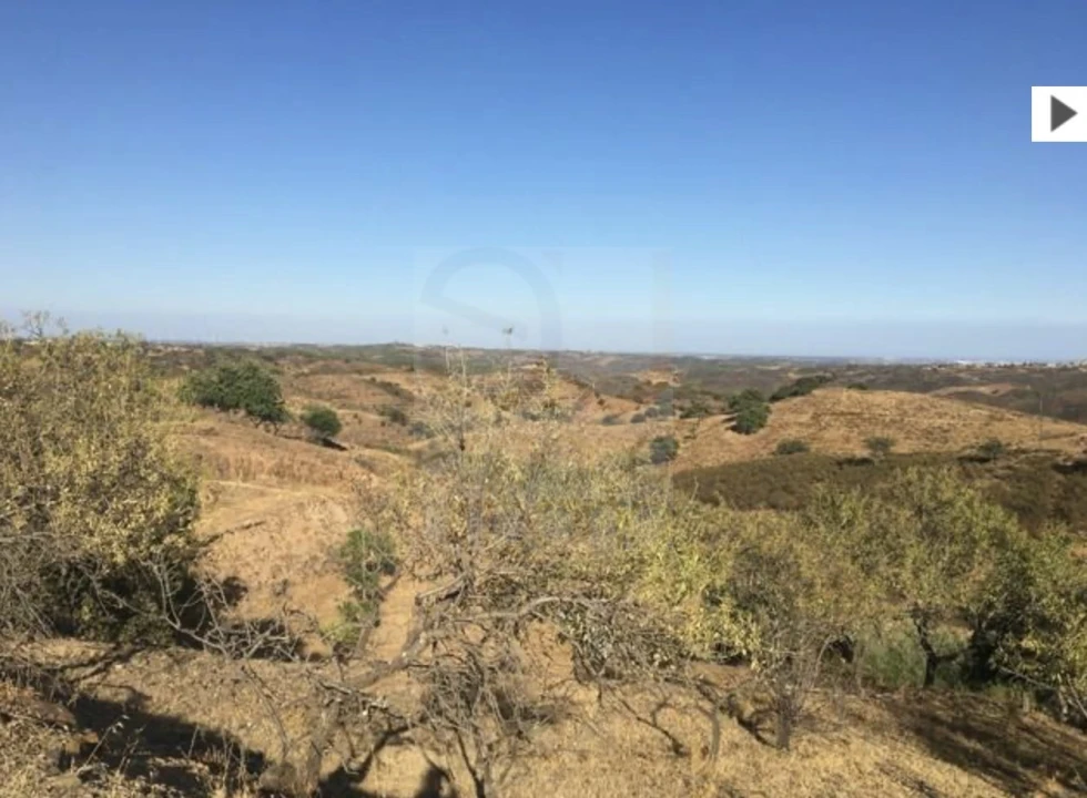 Terreno Agricola ou Rústico para Venda em Castro Marim Foto 19