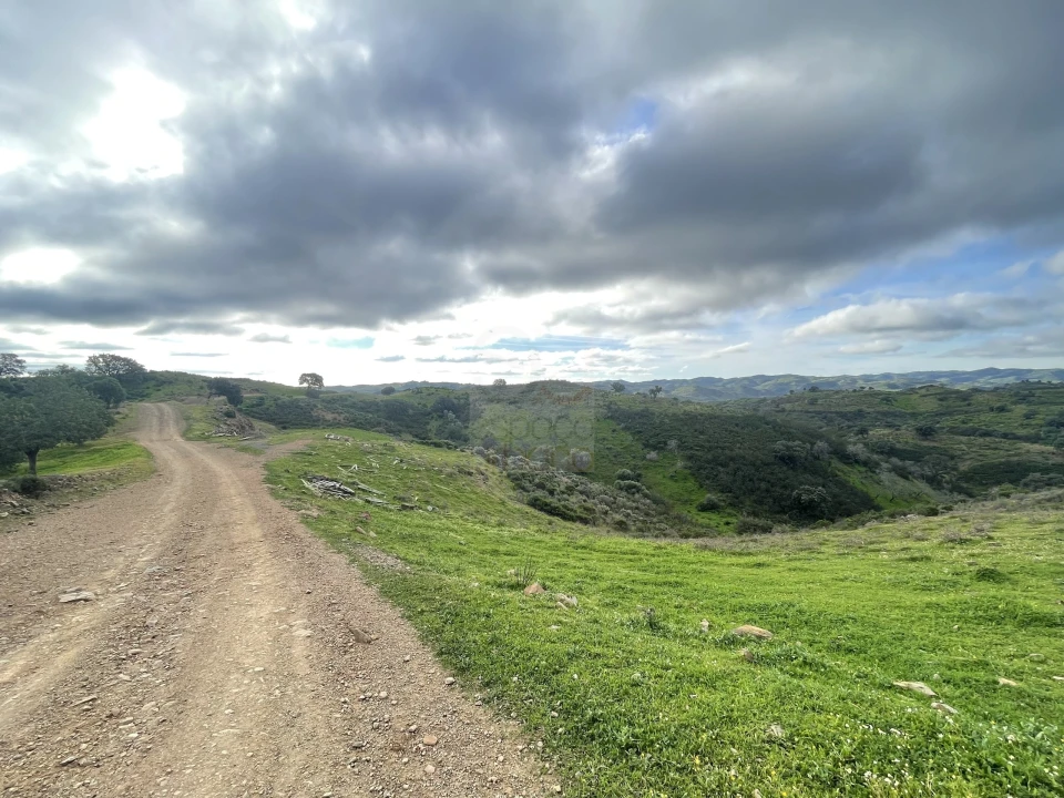 Terreno Agricola ou Rústico para Venda em Castro Marim Foto 9