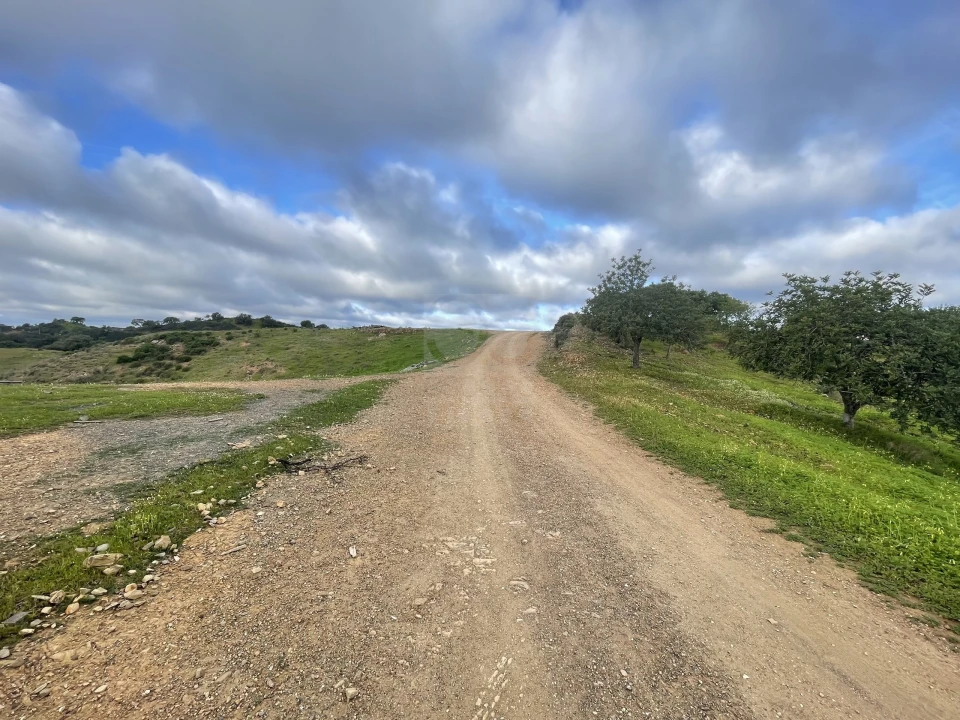 Terreno Agricola ou Rústico para Venda em Castro Marim Foto 4