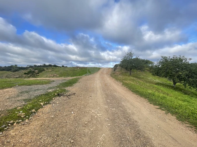 Terreno Agricola ou Rústico para Venda em Castro Marim Foto 2