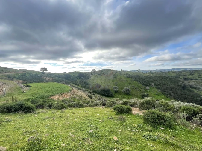 Terreno Agricola ou Rústico para Venda em Castro Marim Foto 4