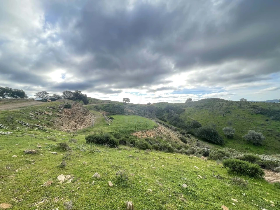 Terreno Agricola ou Rústico para Venda em Castro Marim Foto 5
