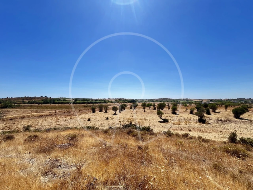 Terreno Agricola ou Rústico para Venda em Castro Marim Foto 5