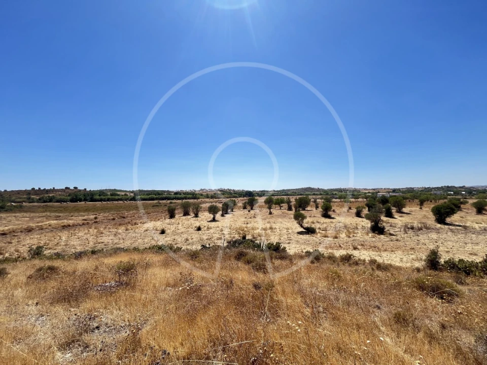 Terreno Agricola ou Rústico para Venda em Castro Marim Foto 8