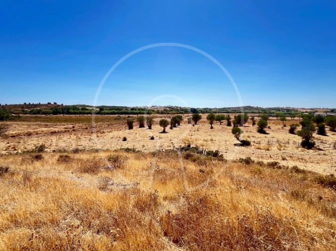 Terreno Agricola ou Rústico para Venda em Castro Marim