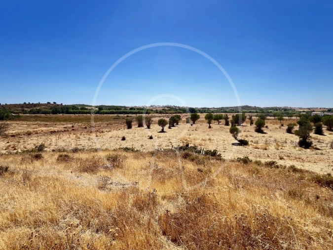 Terreno Agricola ou Rústico para Venda em Castro Marim Foto 3