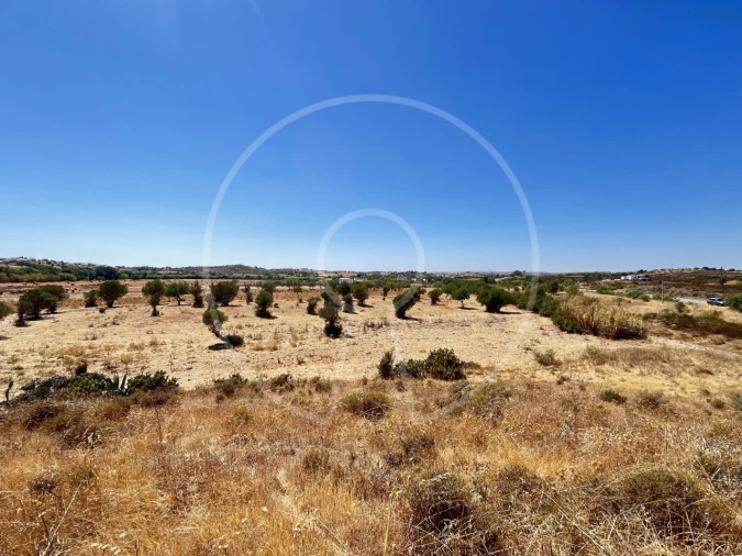 Terreno Agricola ou Rústico para Venda em Castro Marim Foto 4