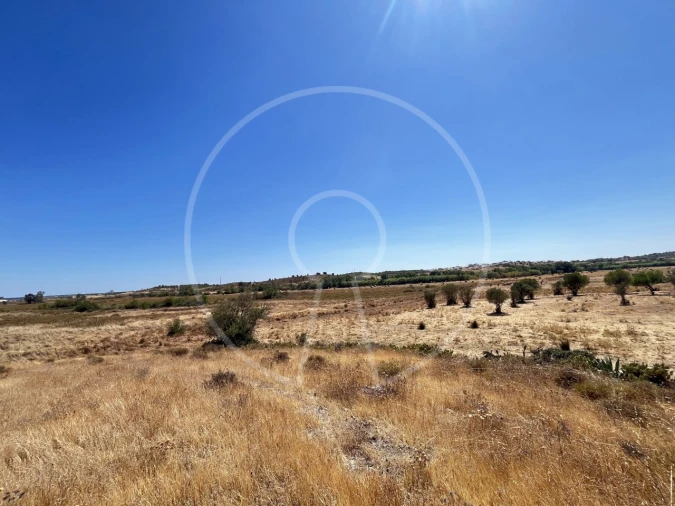Terreno Agricola ou Rústico para Venda em Castro Marim Foto 7