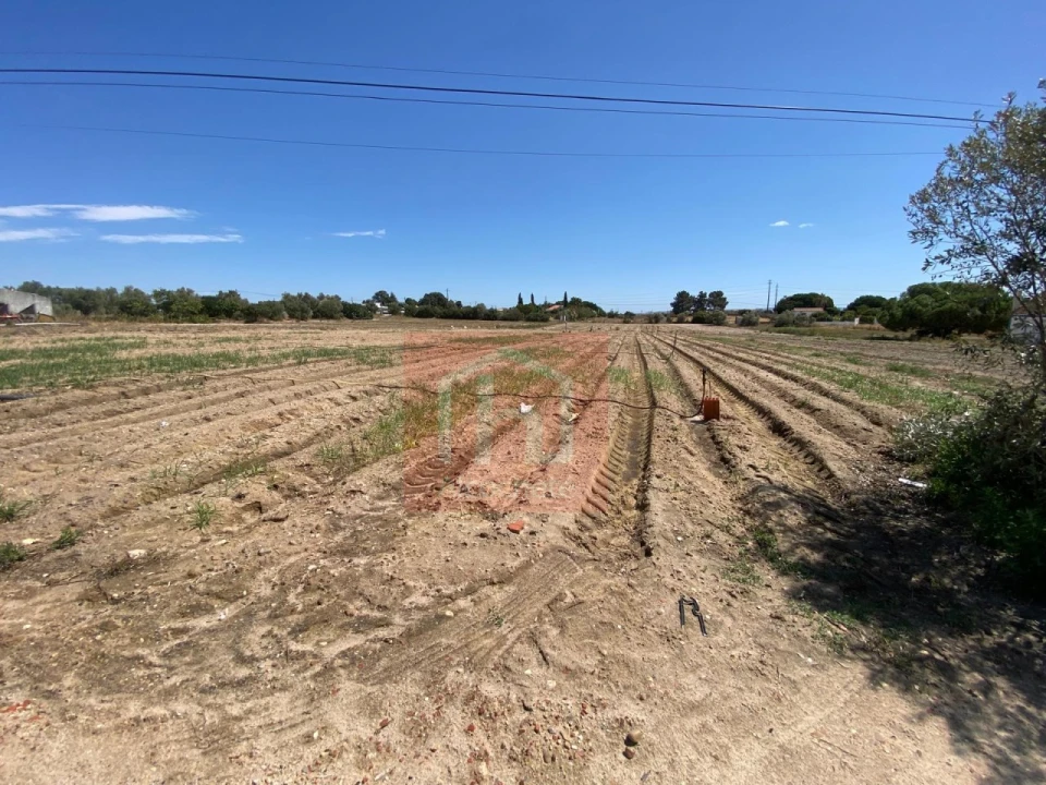 Terreno para Venda em São Francisco Foto 3