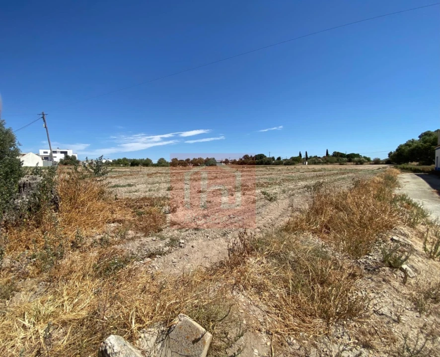Terreno para Venda em São Francisco Foto 7