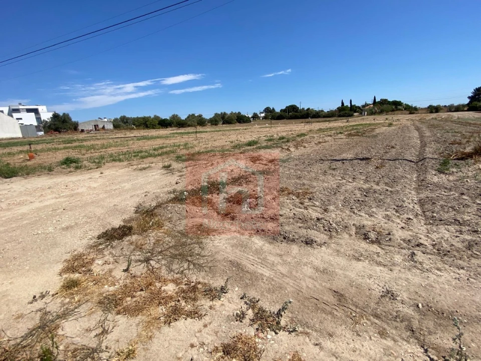 Terreno para Venda em São Francisco Foto 8