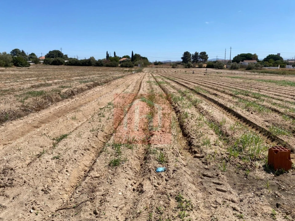 Terreno para Venda em São Francisco Foto 13