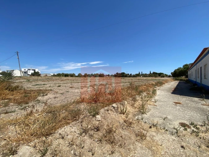 Terreno para Venda em São Francisco Foto 2