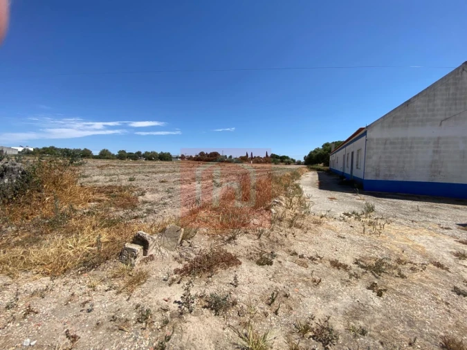 Terreno para Venda em São Francisco Foto 6