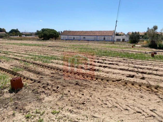 Terreno para Venda em São Francisco Foto 14