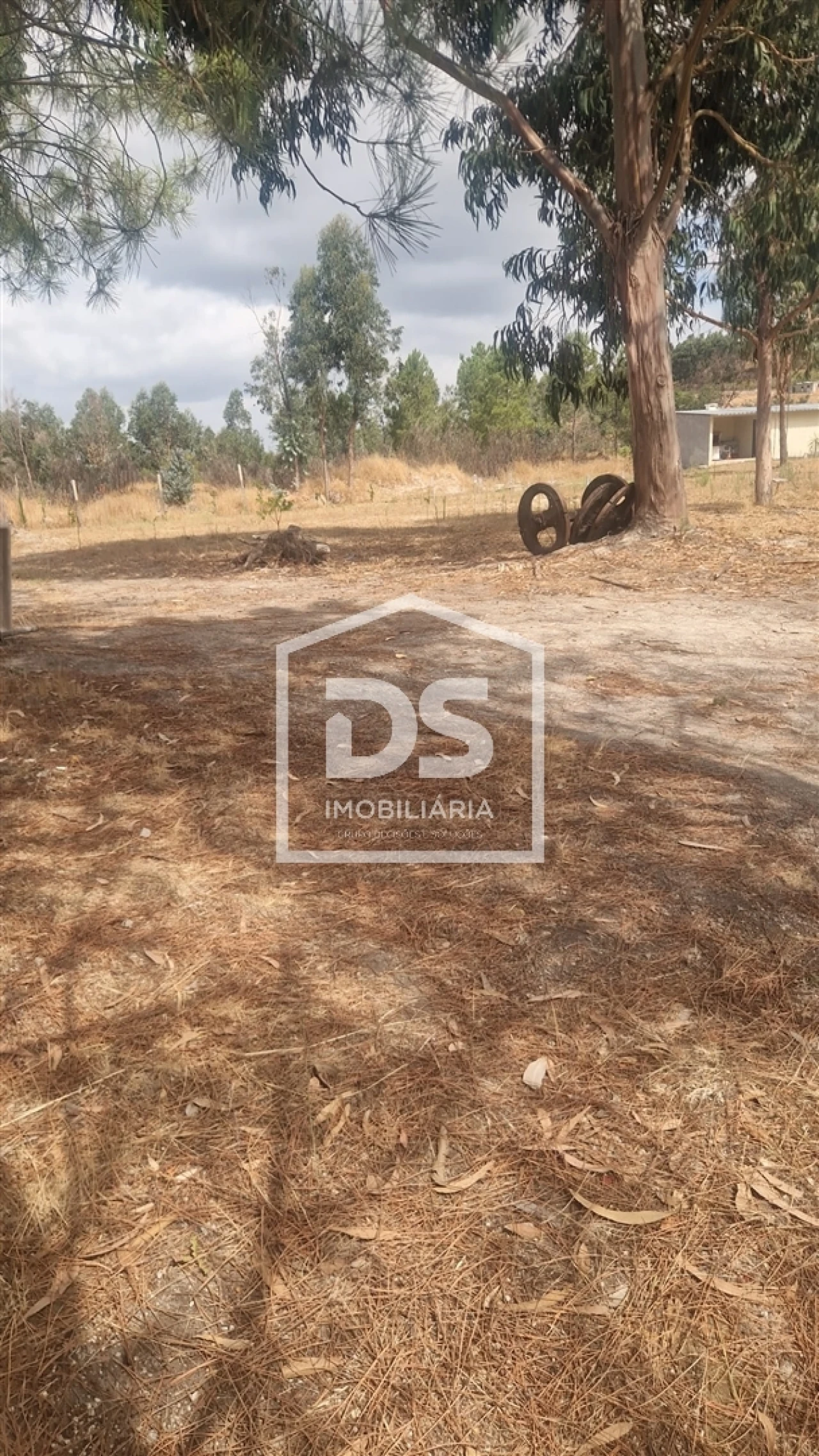 Terreno para Venda em Soalhães Foto 7