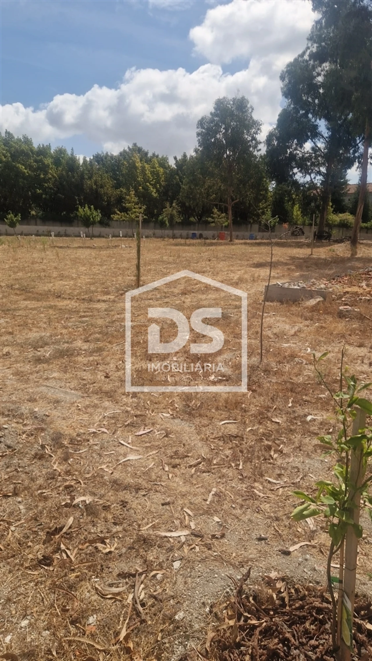 Terreno para Venda em Soalhães Foto 21