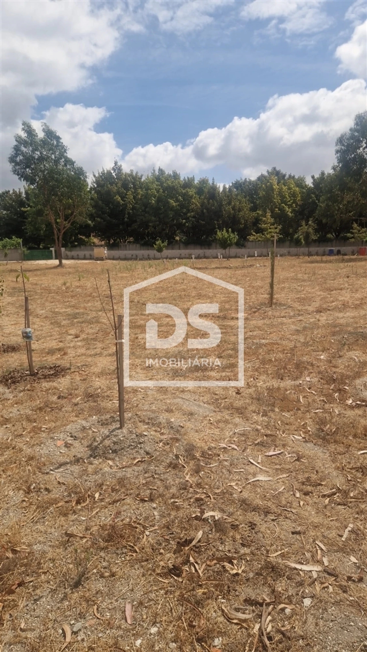 Terreno para Venda em Soalhães Foto 20