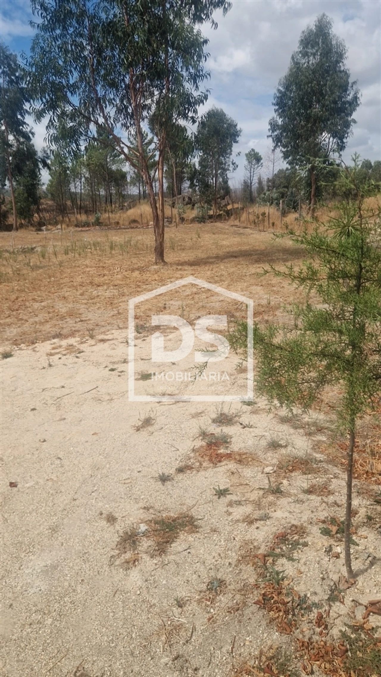 Terreno para Venda em Soalhães Foto 2