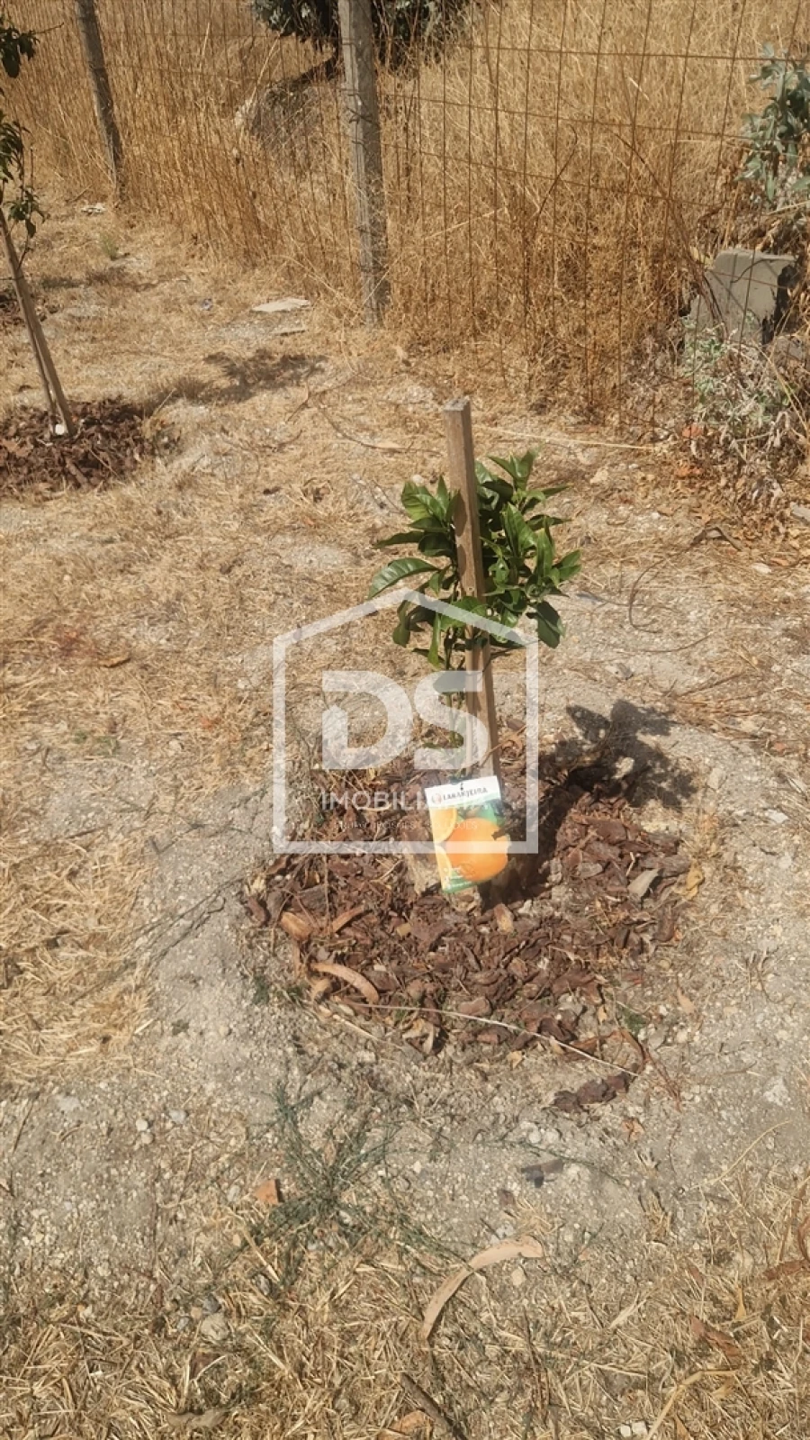 Terreno para Venda em Soalhães Foto 14