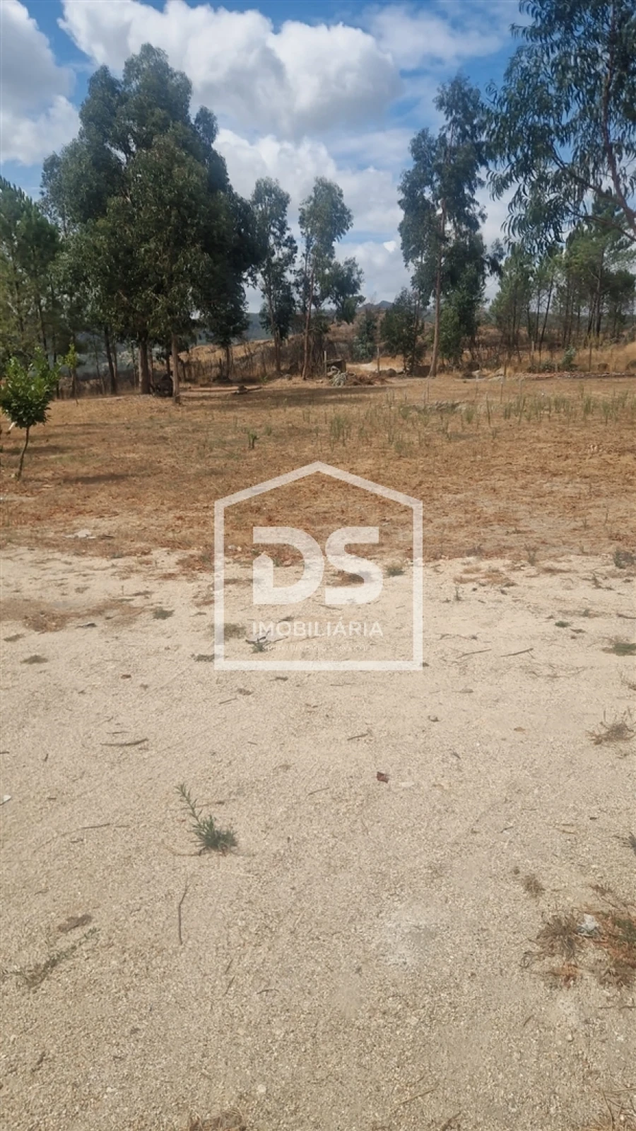 Terreno para Venda em Soalhães Foto 1