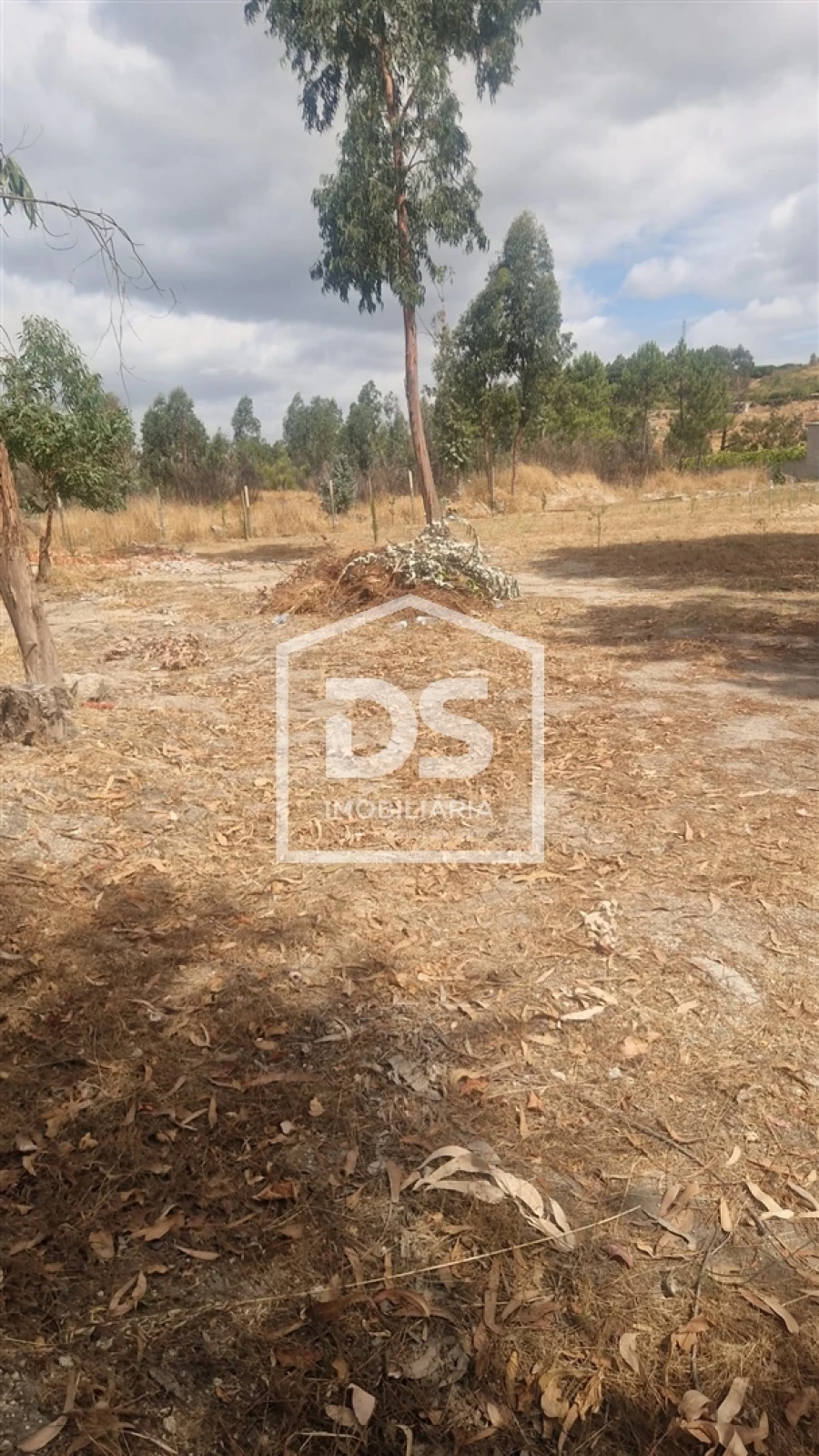 Terreno para Venda em Soalhães Foto 8