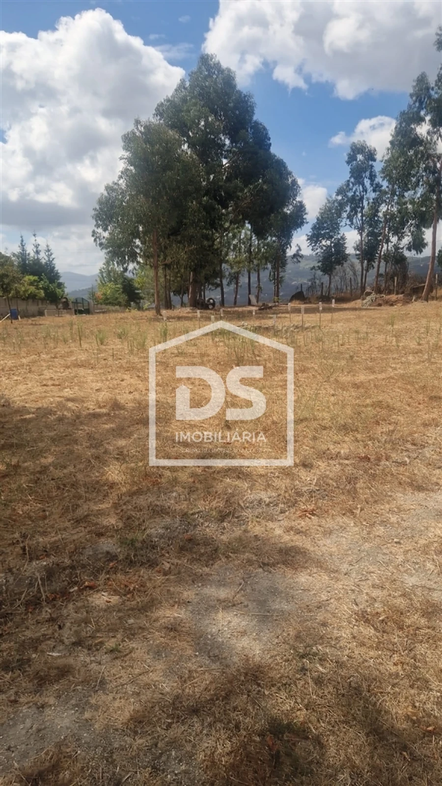 Terreno para Venda em Soalhães Foto 18