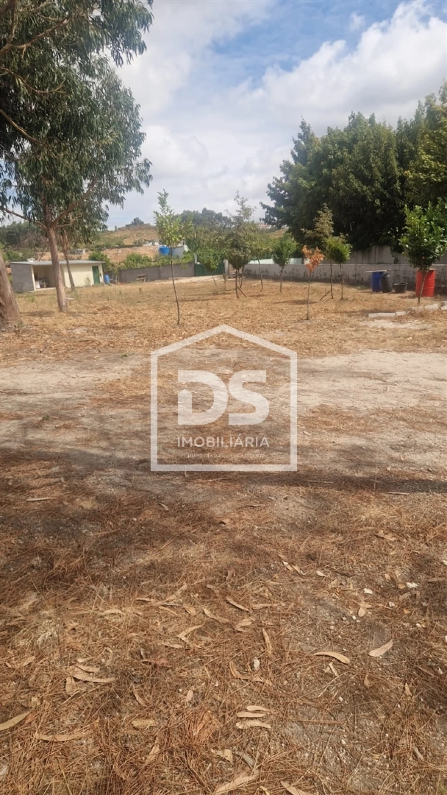 Terreno para Venda em Soalhães Foto 6