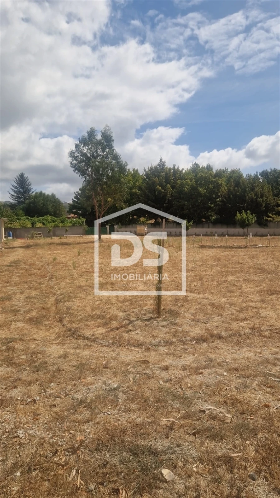 Terreno para Venda em Soalhães Foto 22