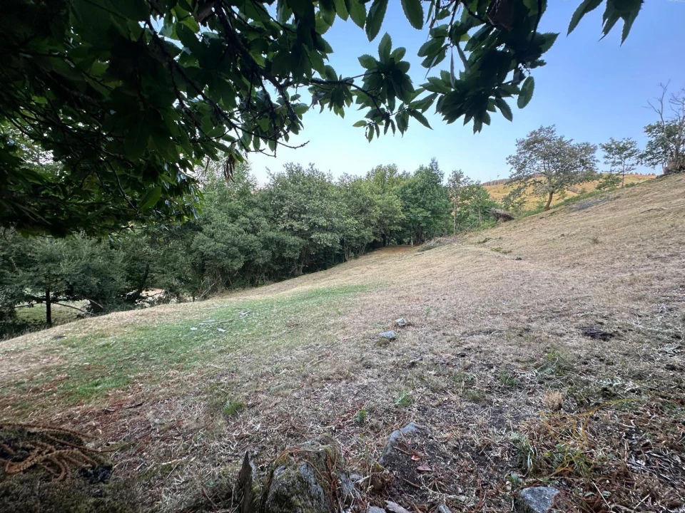 Moradia T0 para Venda em Gave Foto 24